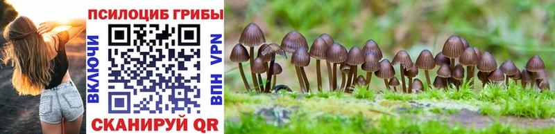 Псилоцибиновые грибы мухоморы Альметьевск